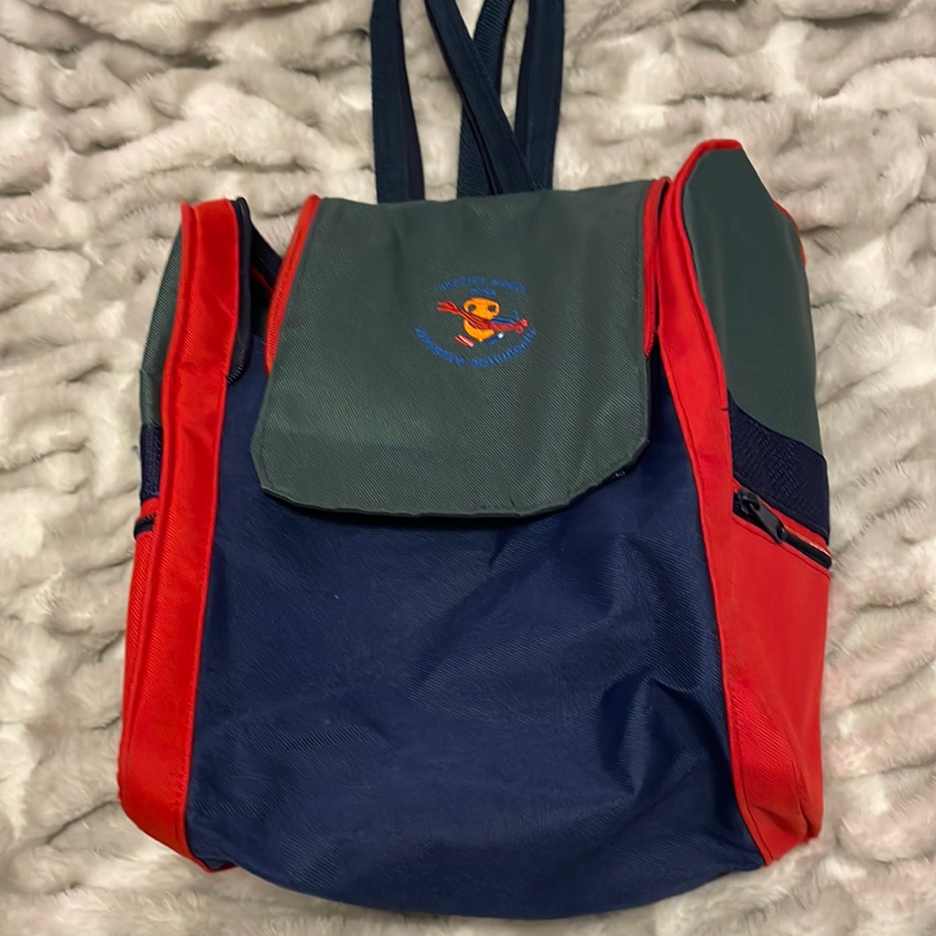 Colorblock Backpack